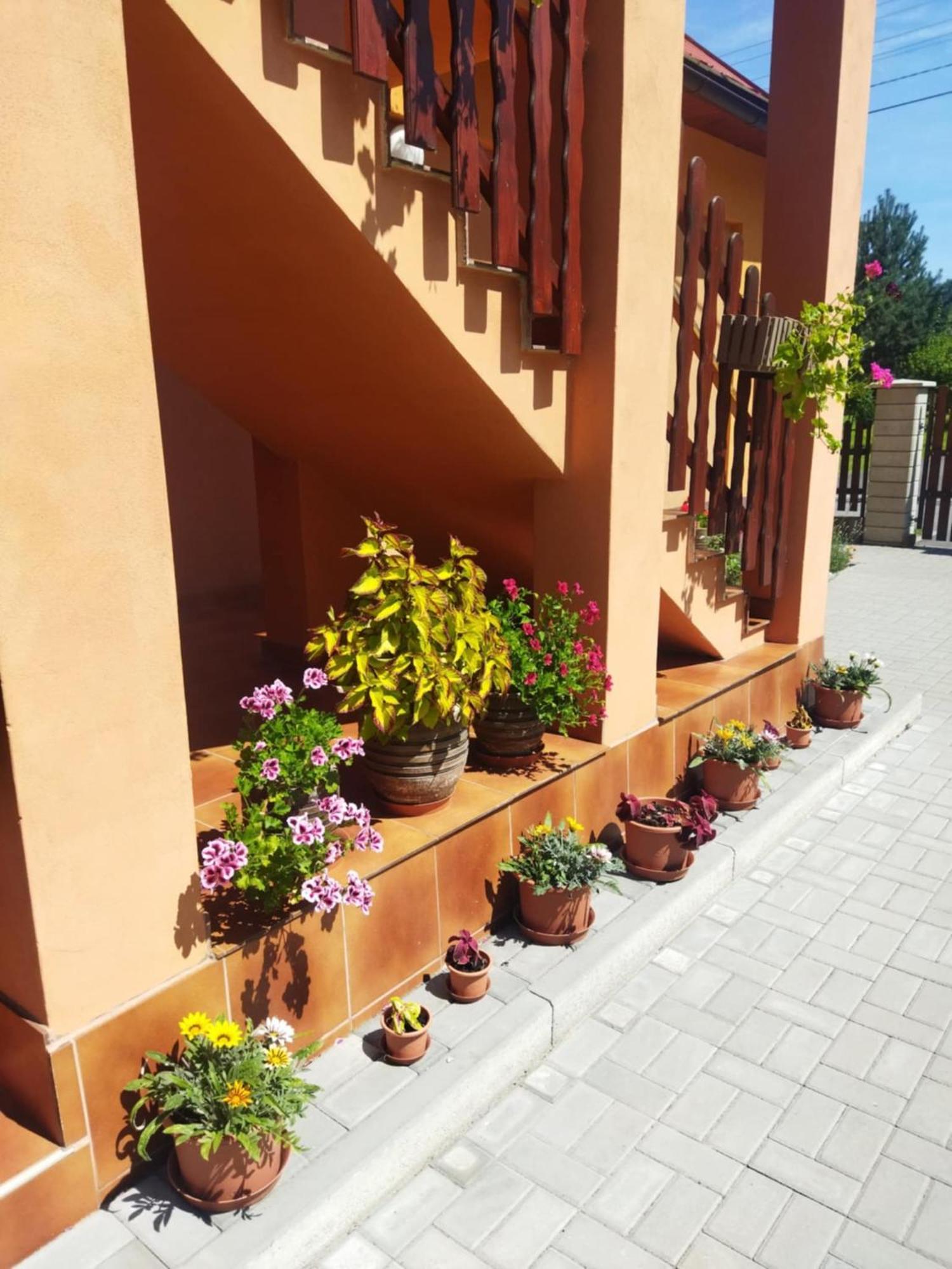 Ubytovani Pod Statkem Tichá Exterior photo